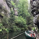 Schlesinger 혼슈타인