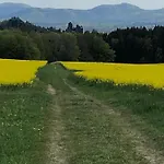 Schlesinger 아파트