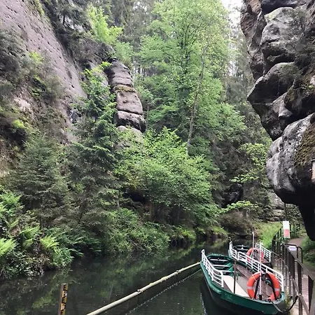 Schlesinger Хонштайн