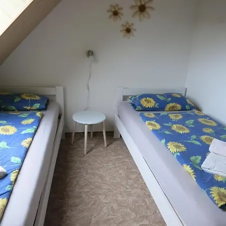 Appartamento Schlesinger *