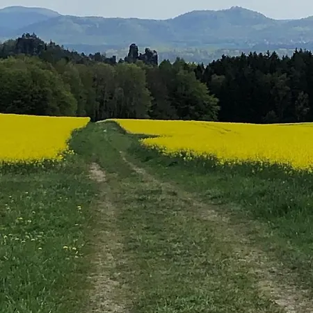 Schlesinger Appartamento