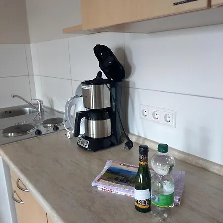 Apartament Schlesinger *
