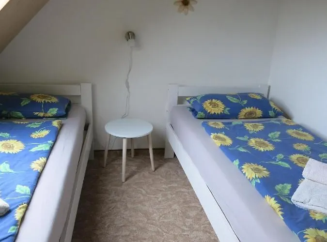 公寓 Schlesinger *