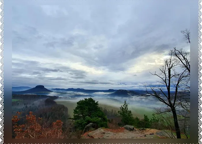 Schlesinger 霍恩斯泰因