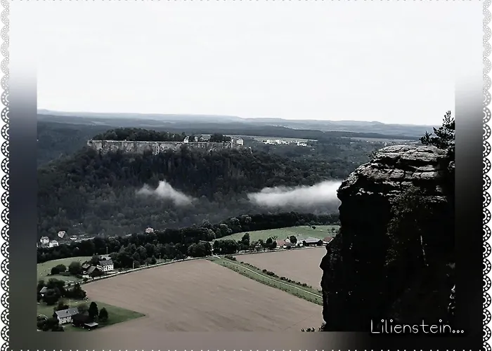 Schlesinger 霍恩斯泰因