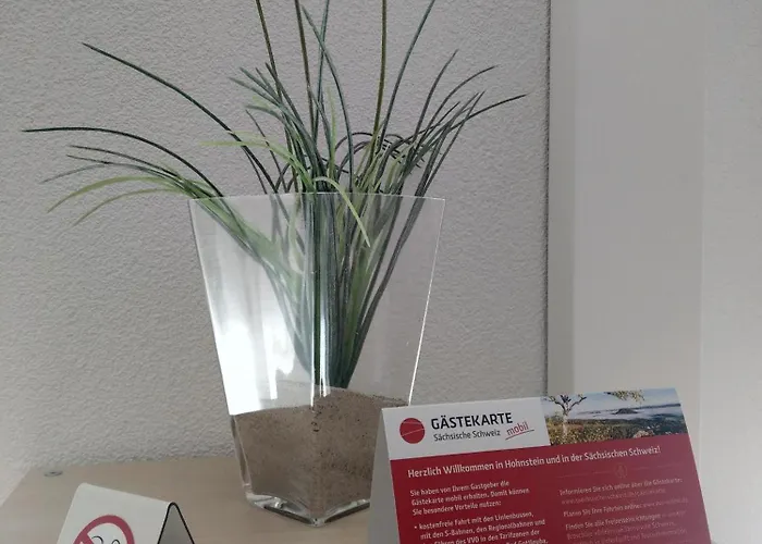 Schlesinger 公寓 霍恩斯泰因